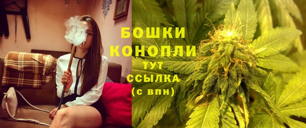 стафф Нефтегорск