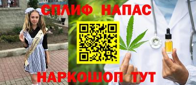 гашик Балахна