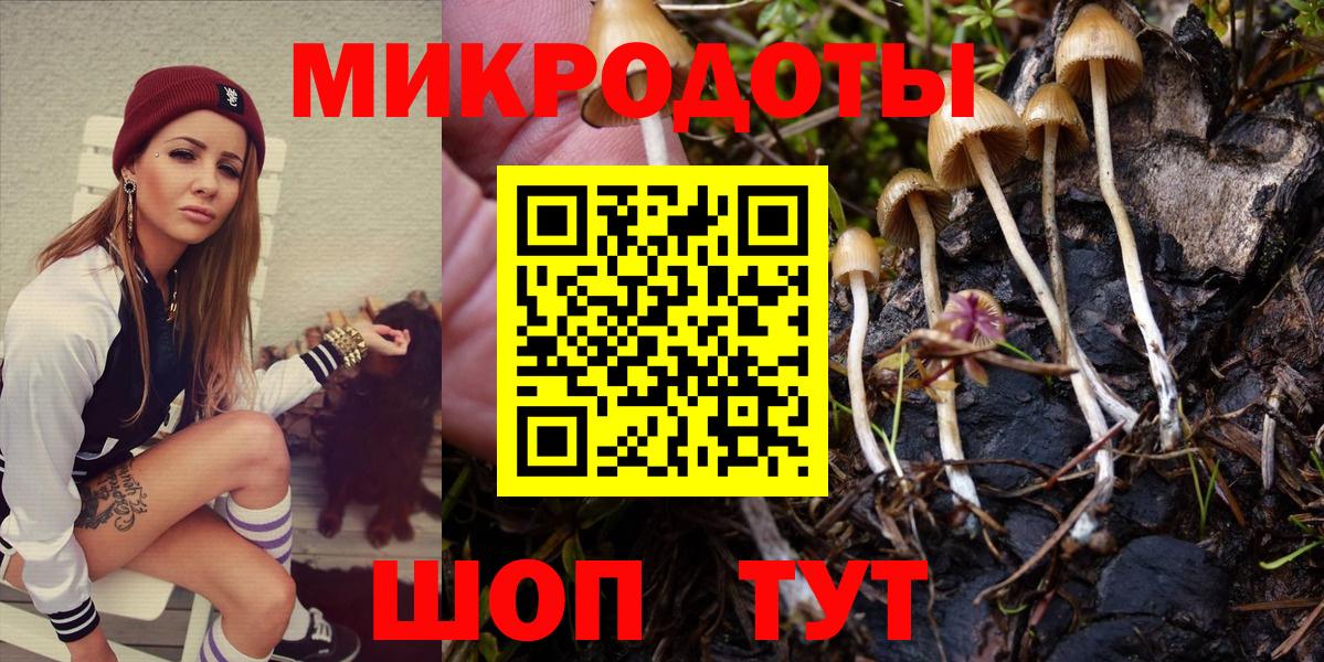 Галлюциногенные грибы Magic Shrooms Кимры